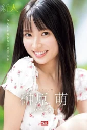 Nonton Film SONE-425 Pendatang Baru AV Debut Sakakihara Moe – Sakakihara Moe Terbaru